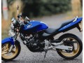 honda-hornet-250-2006-small-2