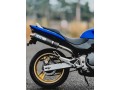 honda-hornet-250-2006-small-5