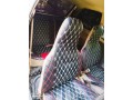nissan-march-k10-sports-small-7