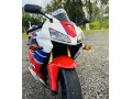 honda-cbr-600-original-registered-small-4