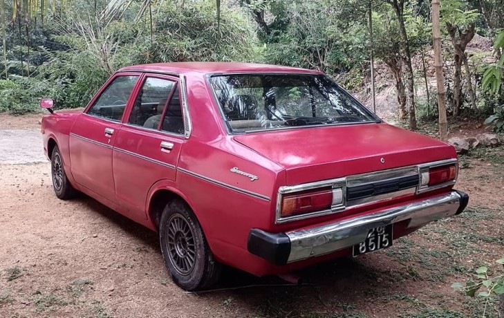 nissan-sunny-big-2