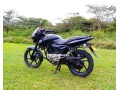 2012-bajaj-pulsar-150cc-small-4