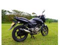 2012-bajaj-pulsar-150cc-small-3