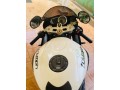 triumph-daytona-675-2012-small-9
