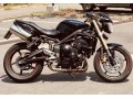 triumph-street-triple-675-small-2