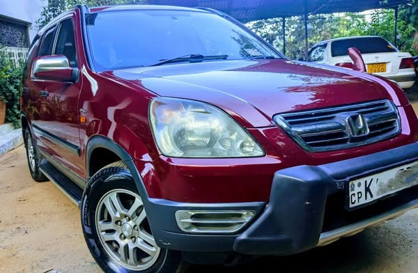 honda-crv-big-2