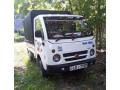 tata-dimo-batta-small-0