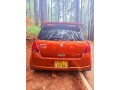 swift-beetle-2006-small-1