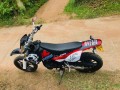 demak-dtm-200-2017-small-3