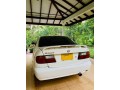 primera-p11-sr18-small-5