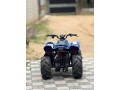 atv-beach-bike-small-5