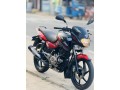 pulsar-150-1515-model-small-0