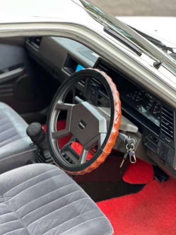 nissan-sunny-big-3